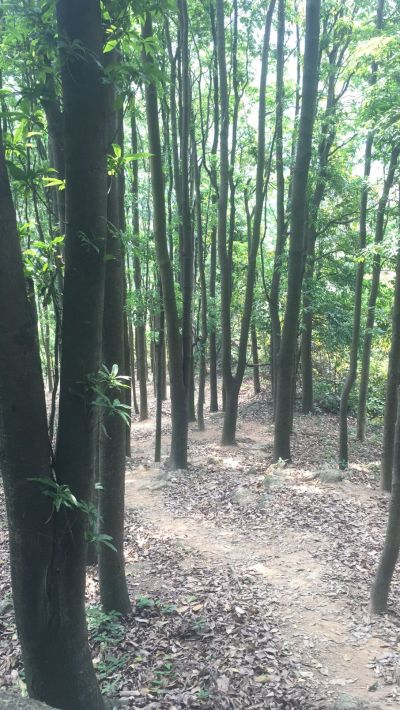 零工装修