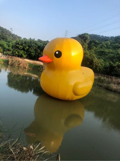 安装