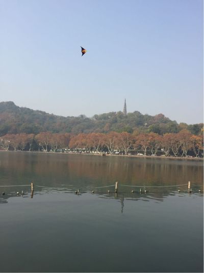 电商
