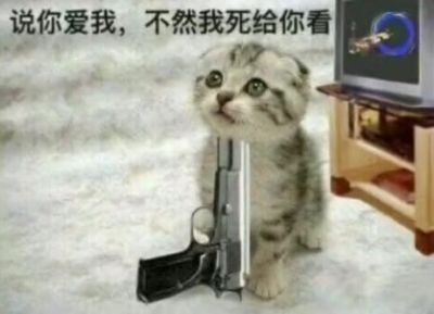 木门