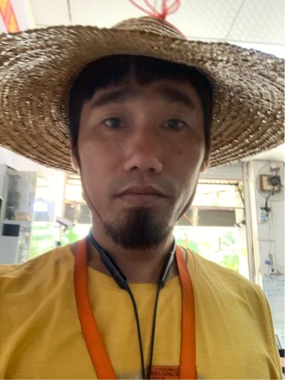 弱电监控网络