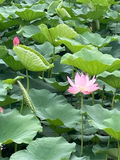 水电工程机械