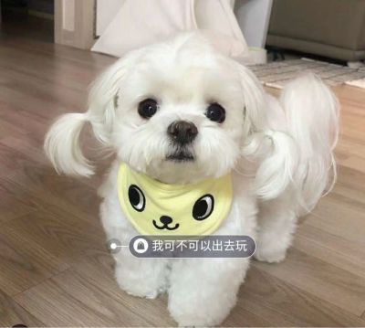 软件工程