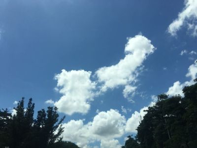 电工