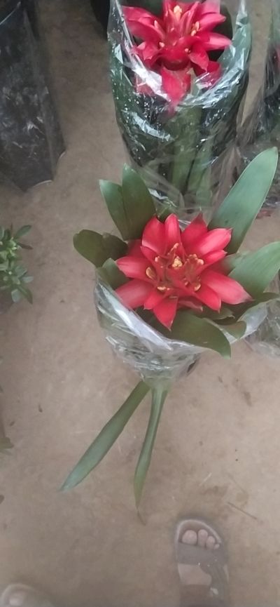 安装与维修