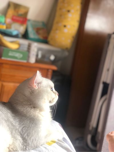 教育