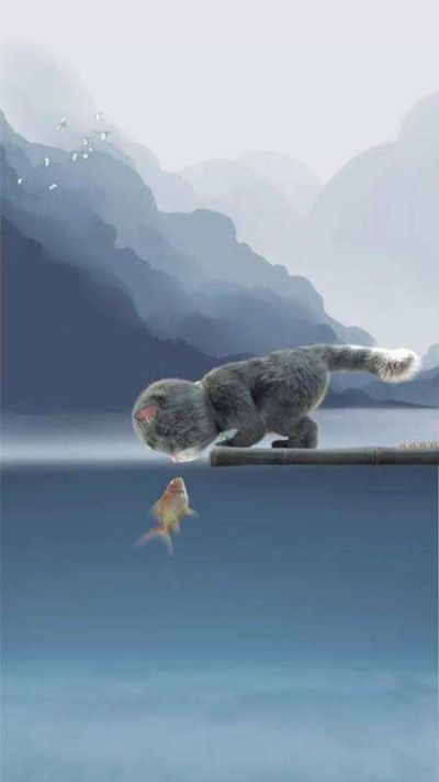 洗衣机空调
