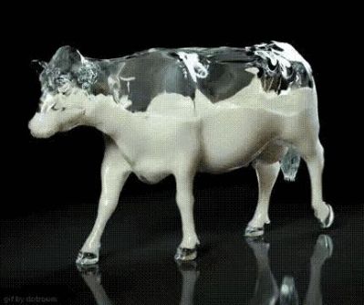 安装