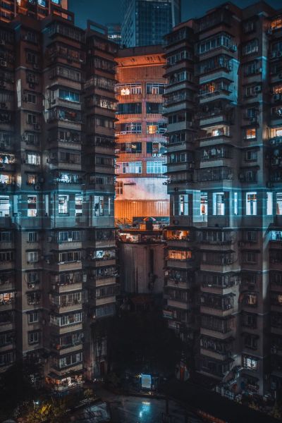 个体