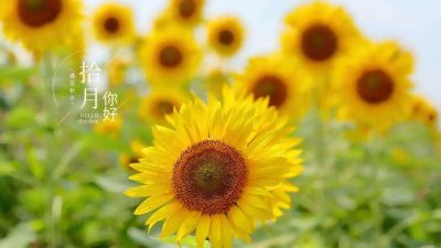 家居定制工厂