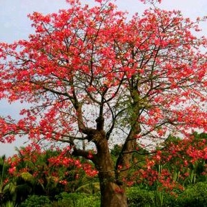 油漆，涂料，地坪漆