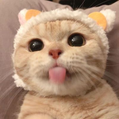 工商管理