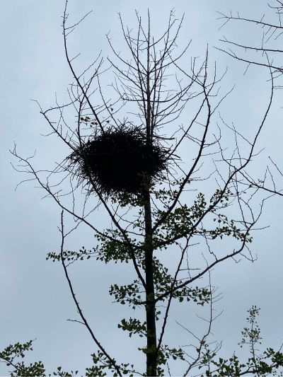 木工