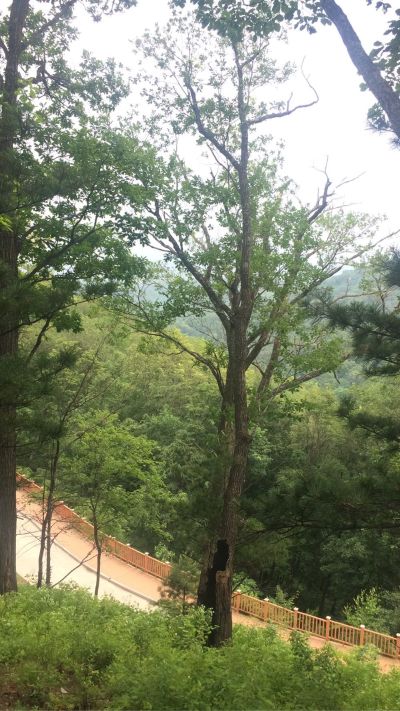 居民服务