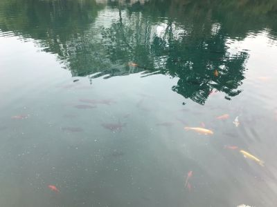 电脑网络
