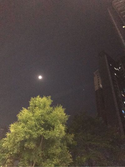 安装木床