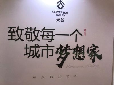 全能职业