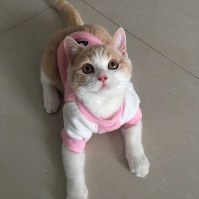 瓷砖