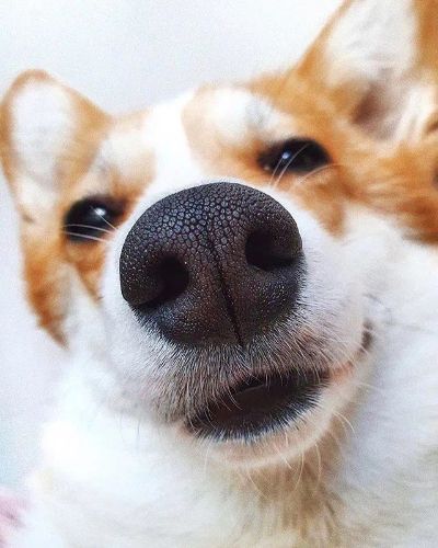 教育