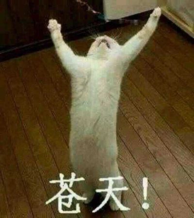 室内精装修
