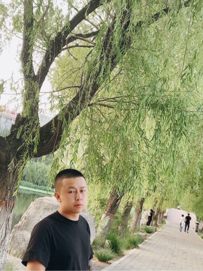 司机