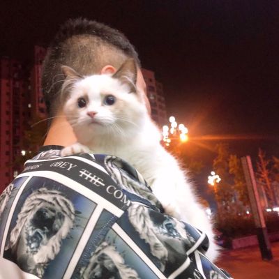 无