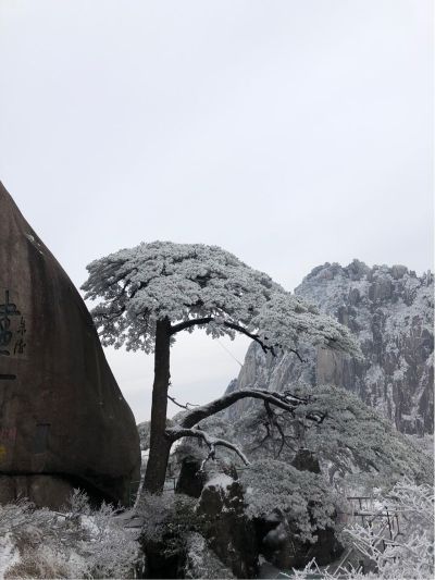 家电数码