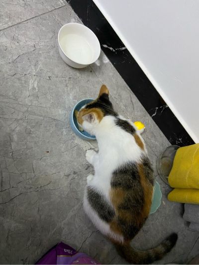 装修