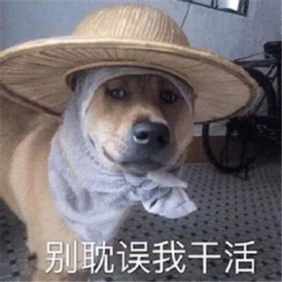 数据分析