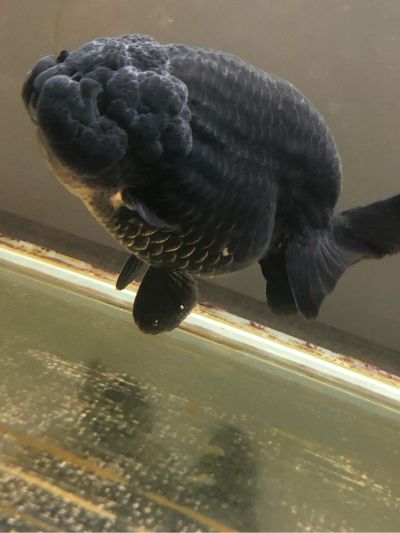 家具安装水电