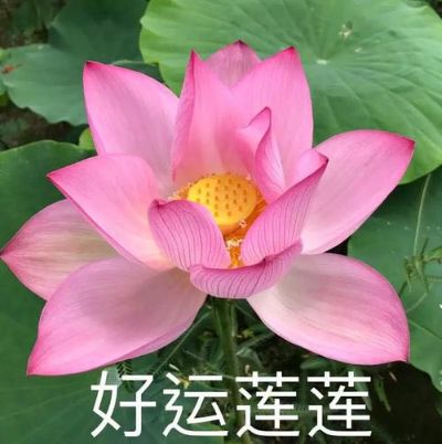 木工