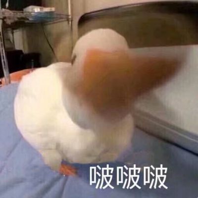 无