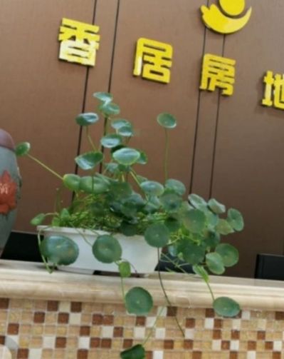 香居房产