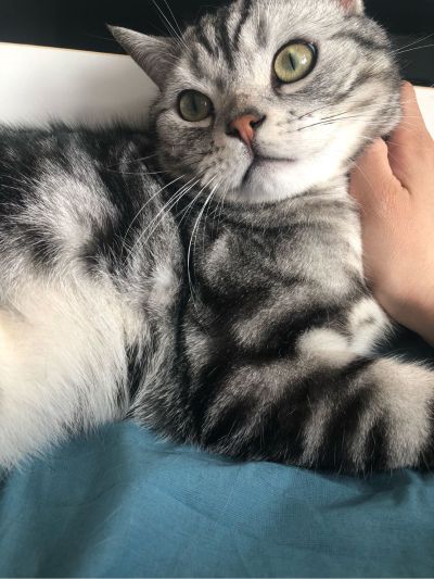 数码传媒