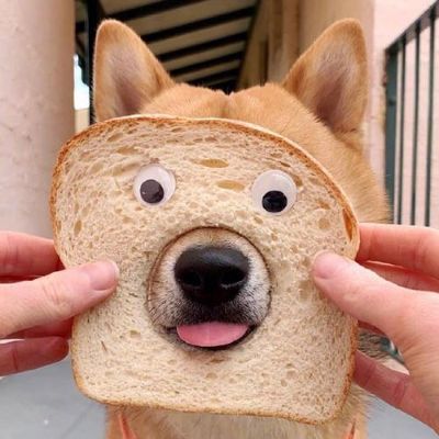 装修装饰