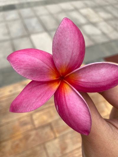 搬家