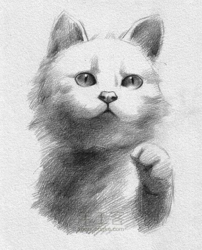 专业家具美容专业家具美容