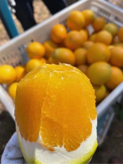 小工上材料