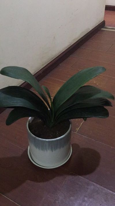 家装家电维修