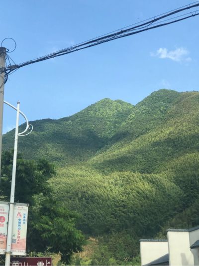 打工人