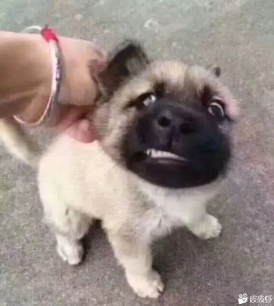 安装家电家具安装门窗