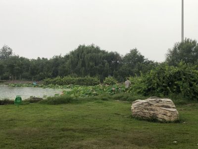 木工厂