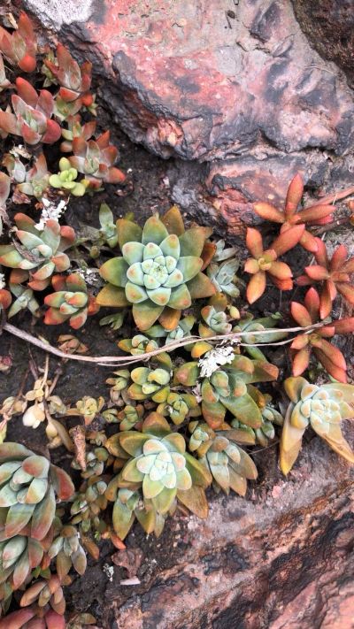 家具安装
