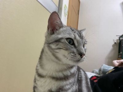 电脑系统