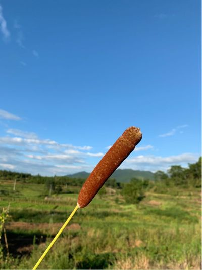 水电木泥油