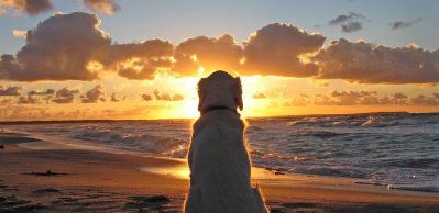 钳工高等技工安装维修装修安装维修装修安装维修装修