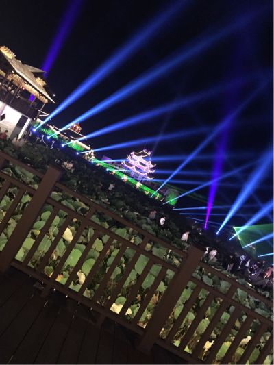 墙纸
