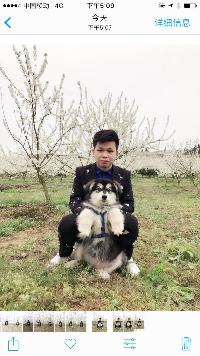 无