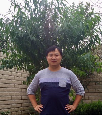 网络智能化