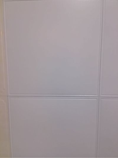 监理